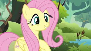 Fluttershy gives Discord the benefit of the doubt S03E10.png
