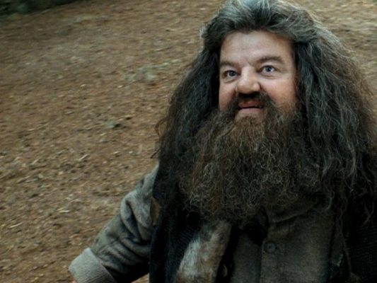 hagrid actor in harry potter