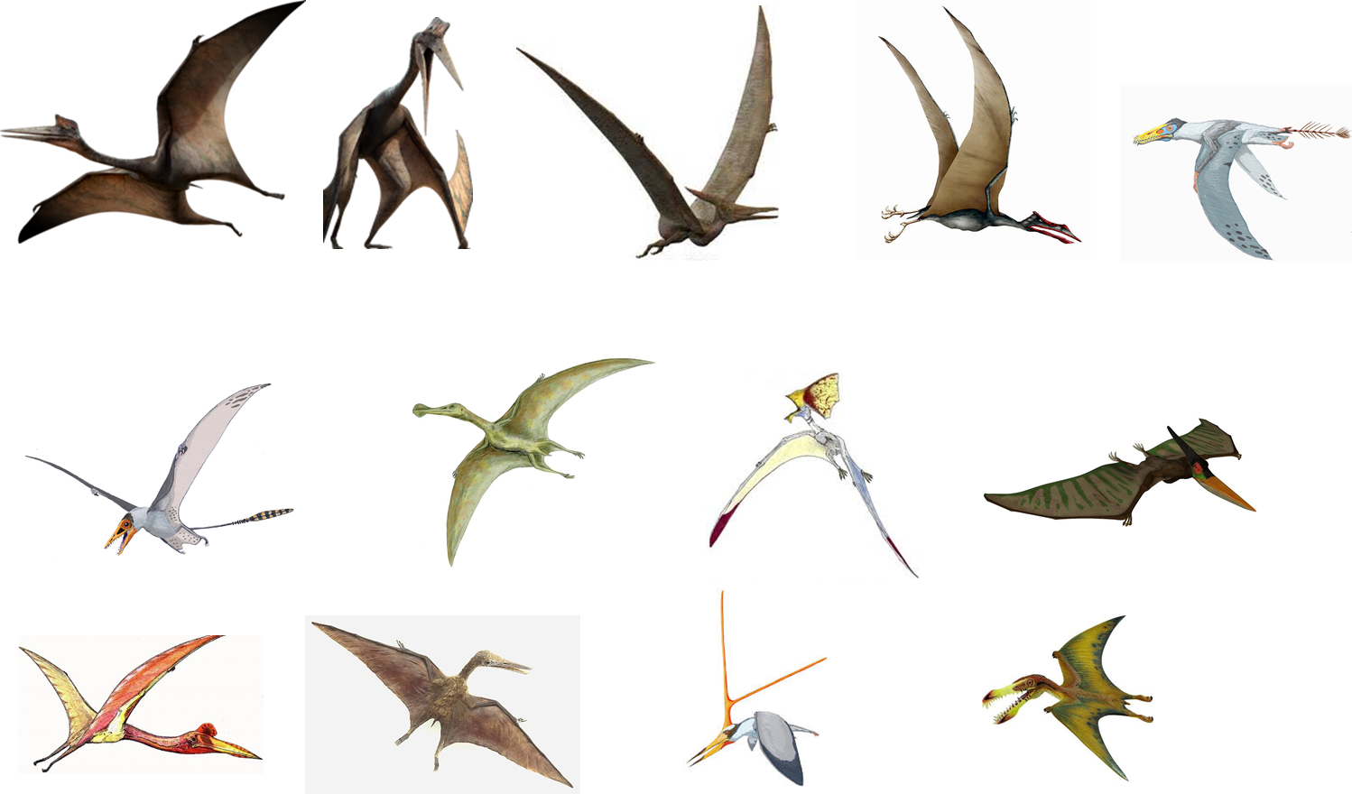 crested pterosaurs