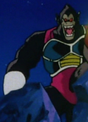Great Ape fasha