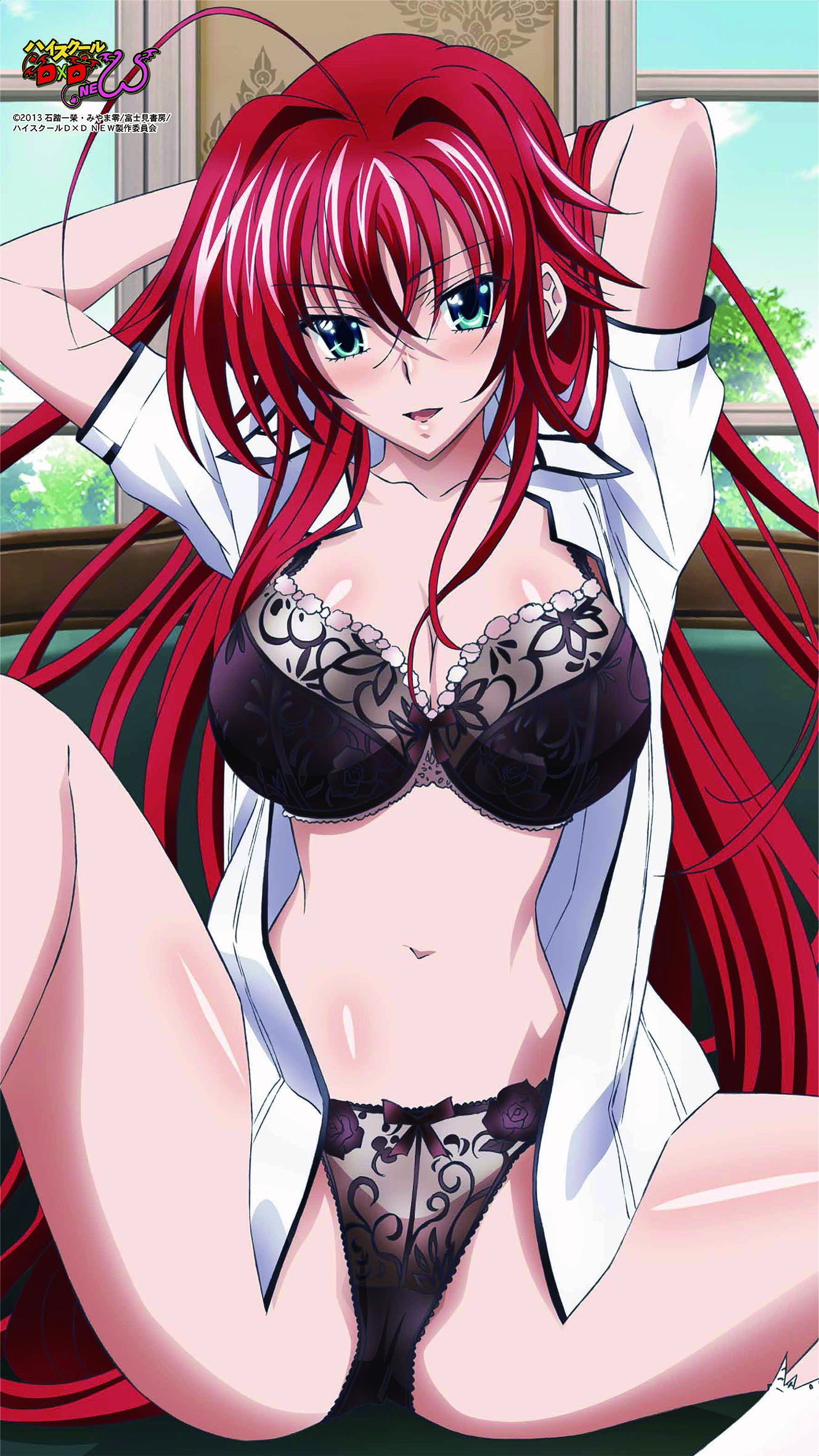 Image Rias Lingerie High Babe DxD Wiki