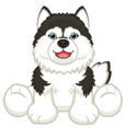 webkinz signature husky