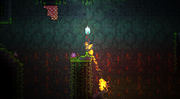 Bulbo Infierno