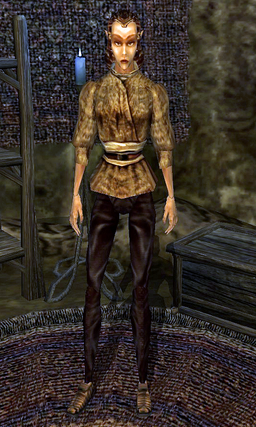 http://img1.wikia.nocookie.net/__cb20131209202508/elderscrolls/images/thumb/3/38/Nona.png/256px-Nona.png
