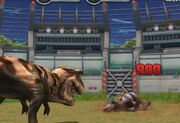 Battle arena