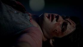 Normal tvd501--1550