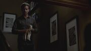 The-Vampire-Diaries-3x17-Break-On-Through-HD-Screencaps-alaric-saltzman-30004829-1280-720