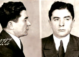 Petelicavoli1