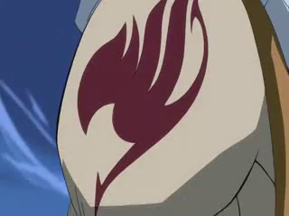 Image Simbolo Da Fairy Tail De Natsu Png Fairy Tail Wiki