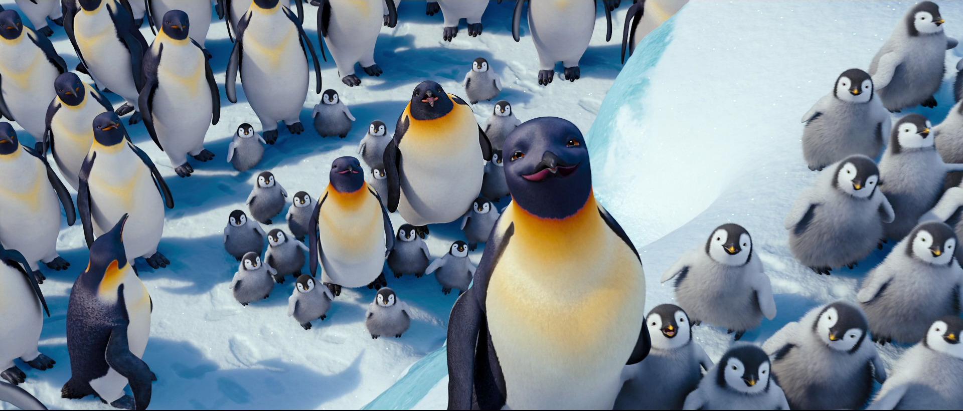 Image Happy Feet Wiki