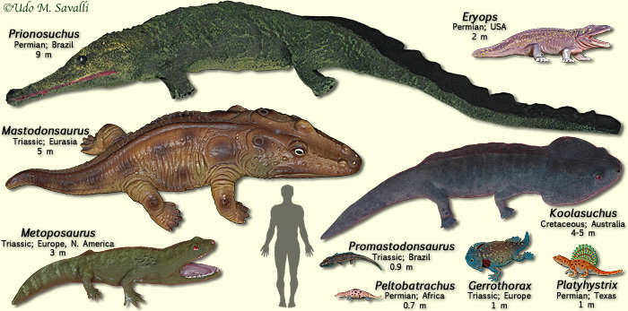 dinosaurs smallest to biggest