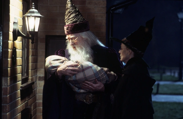 In Welchem Haus War Albus Dumbledore