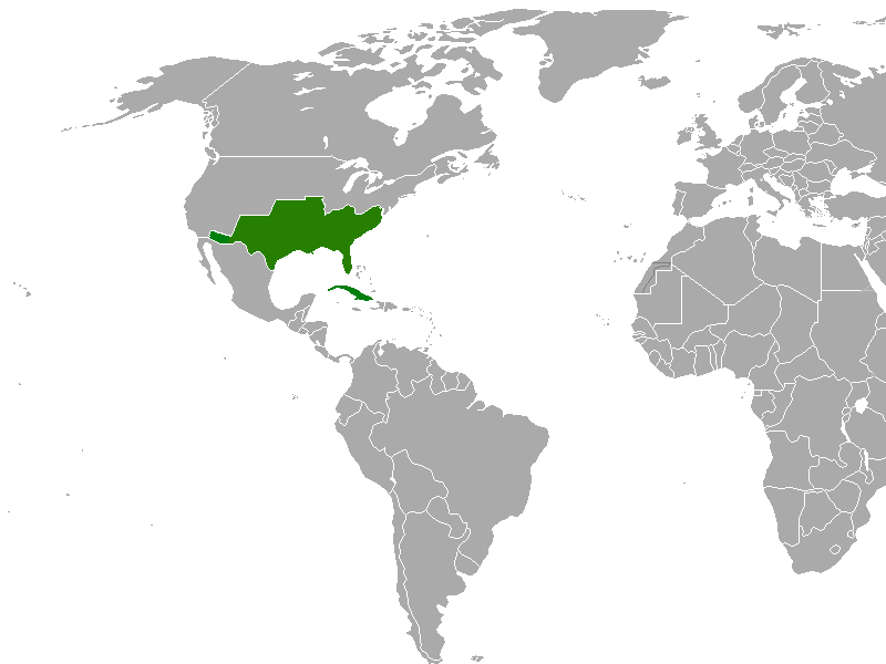 Confederate States of America - Alternative History