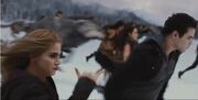 Rockrosalie