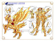 Esquema seiya divinaf