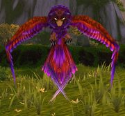 Brilliant Kaliri