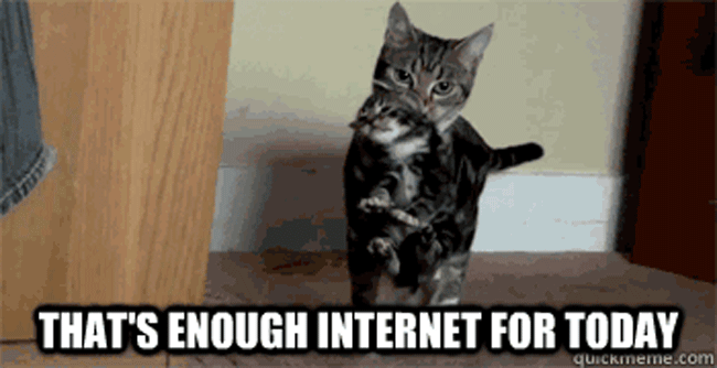 Enough-internet-cat.gif