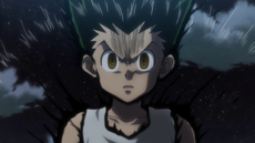 113 - Gon ready for battle