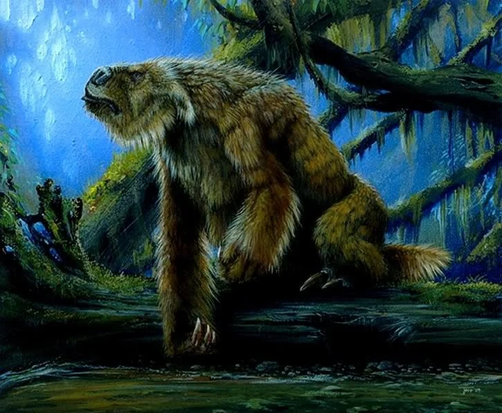 Mapinguari - Cryptid Wiki