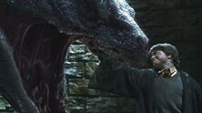 Harry kills Basilisk