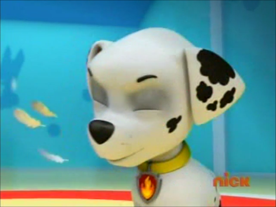 paw patrol pup pup boogie pups in a fog