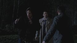 SPN 0769