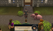 Convincing villagers
