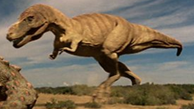 the tarbosaurus