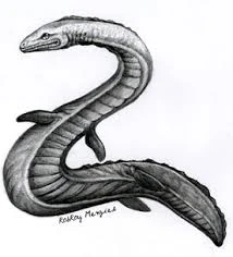 Selma New Cryptozoology Wiki