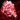 Wolf heart icon
