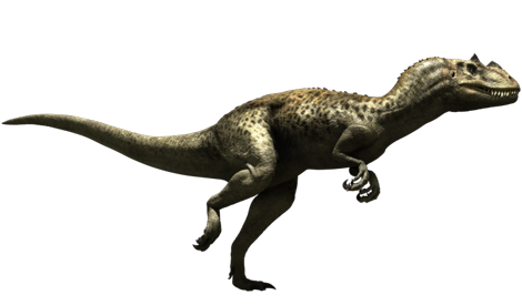 http://img1.wikia.nocookie.net/__cb20140215163452/dinosaurs/images/6/6a/Ceratosaurus.png