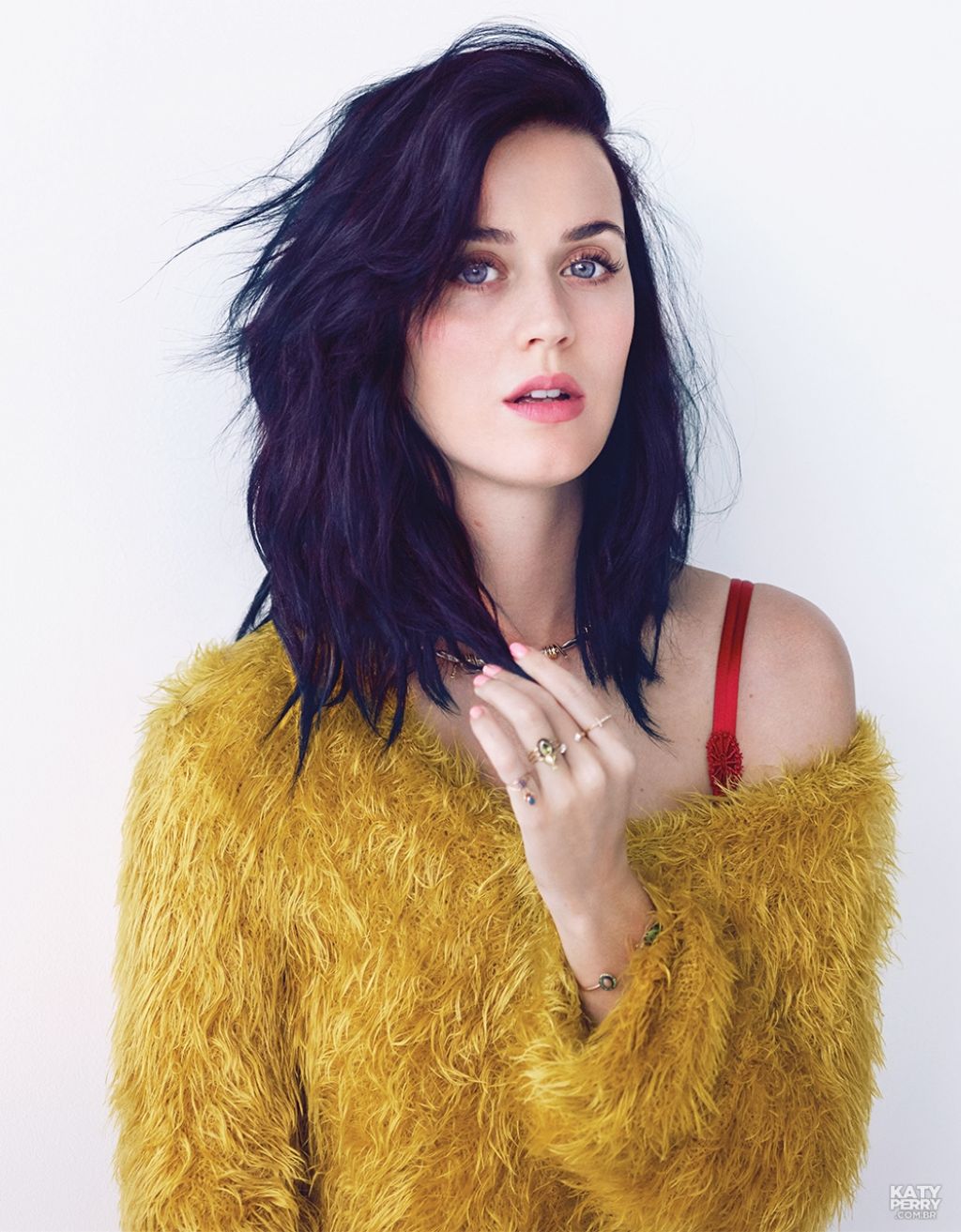Katy Perry Selena Gomez Wiki