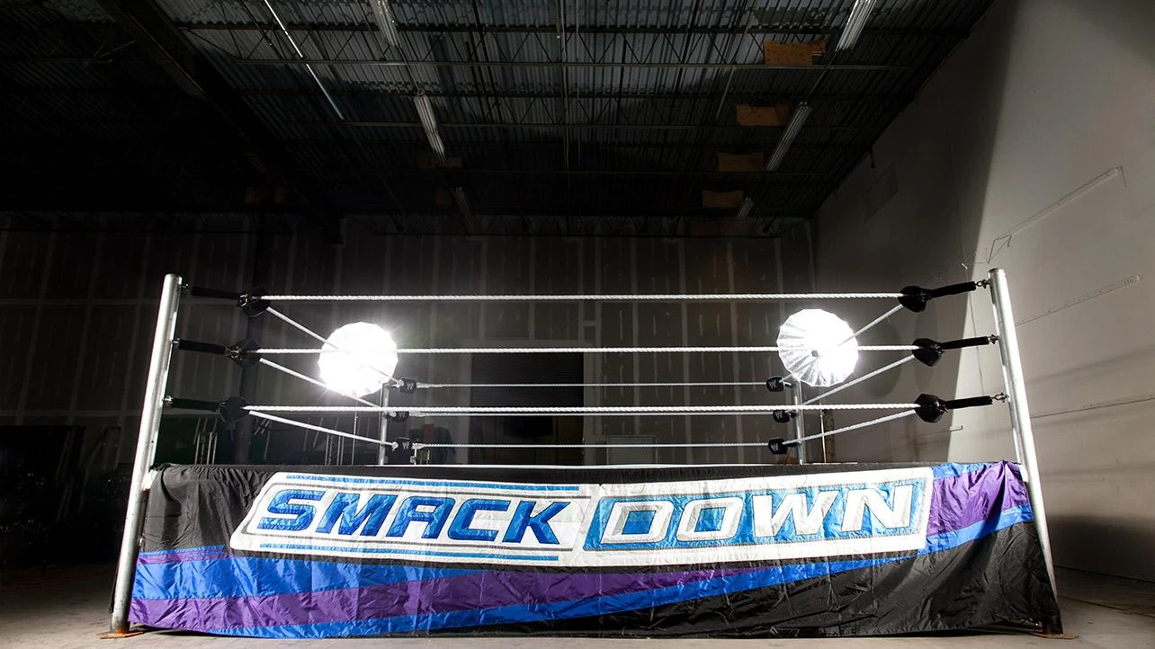 Image Wrestling ring.8.jpg Pro Wrestling Wiki Divas, Knockouts