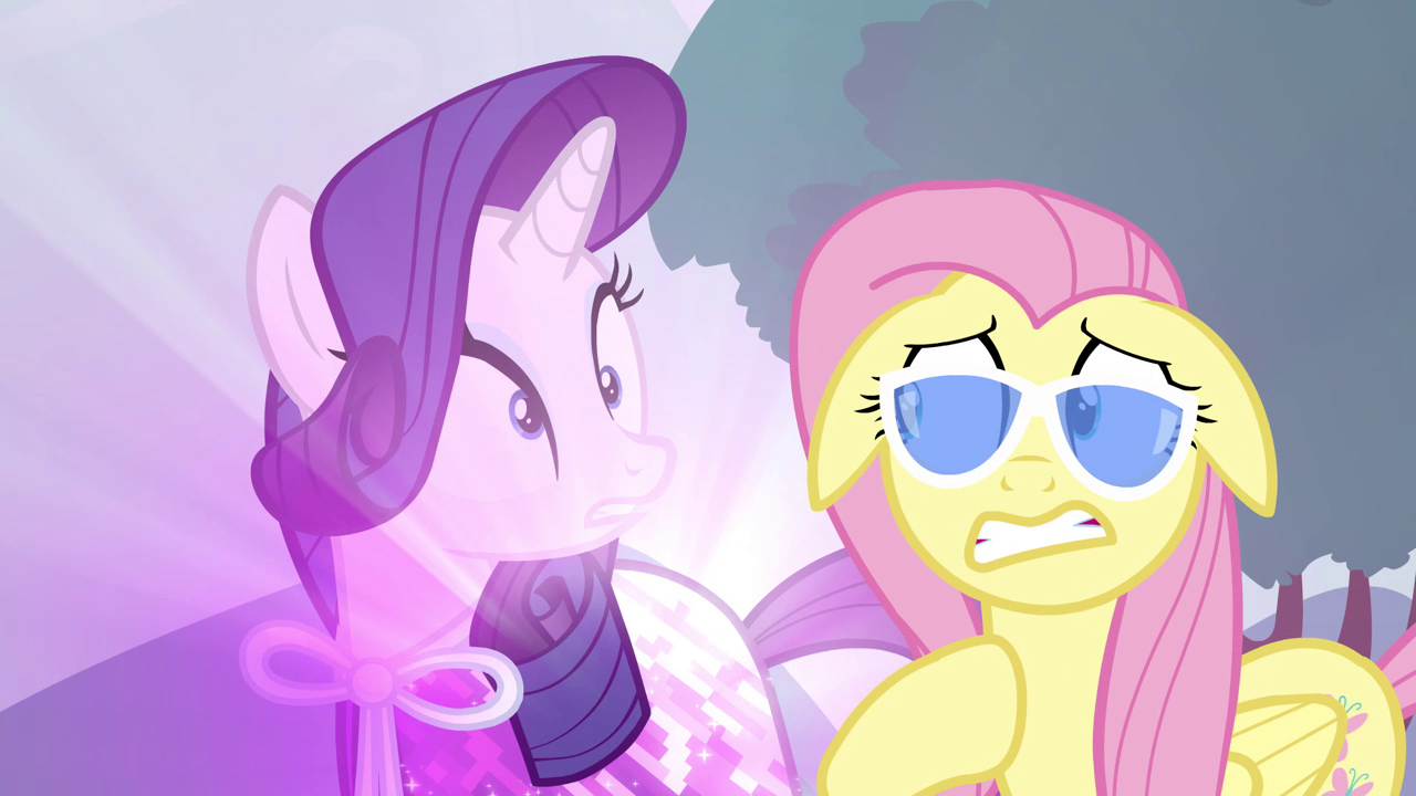 rarity e fluttershy