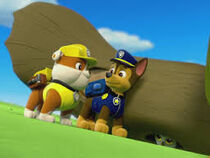 Pups Save A Bat - PAW Patrol Wiki