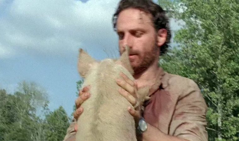 Rick_and_pig_season_4_the_walking_dead_by_twdmeuvicio-d73nh6f.jpg