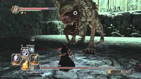  - 335px-Dark_Souls_2_Royal_Rat_Authority_Boss_TRICKS_&_TIPS_For_Easy_Kill