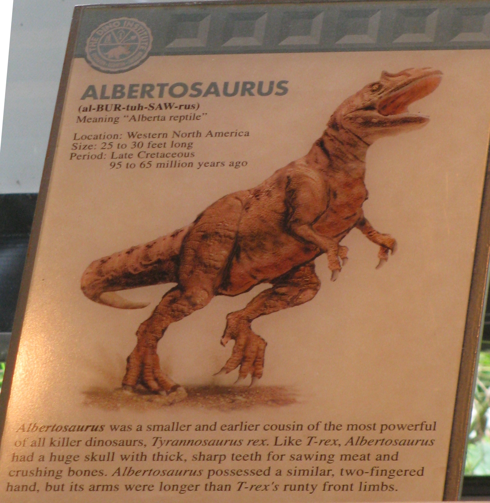 albertosaurus dinosaur