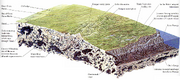 Naboo cutaway
