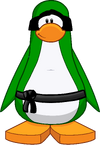Green Ninja Custom