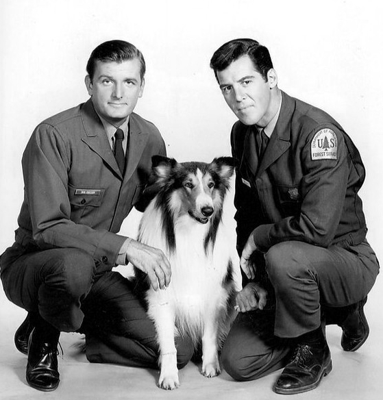 Lassie 1964 1970 Doblaje Wiki