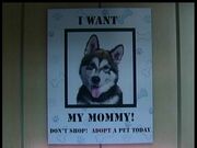 Mommyposters