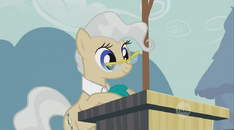 Mayor characters.png