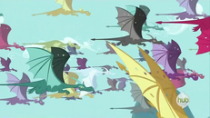 Dragon characters.png