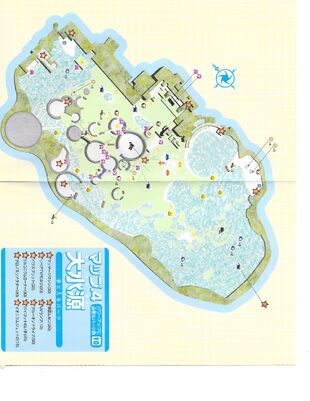 Scan 17