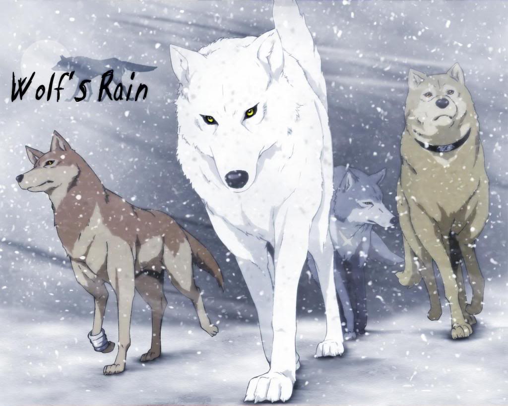 Macky-Wolfs_Rain-1280.jpg
