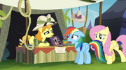 Daring Do collector