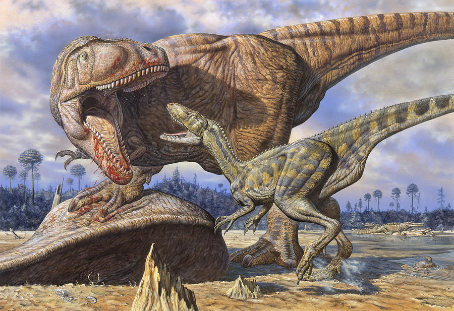 Archivo:Carcharodontosaurus-guards-its-kill-mark-hallett.jpg - Wiki Dino