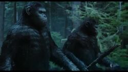 Dawn of the Planet of the Apes - Official Trailer
