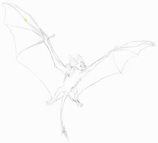 Noivern_schizzo.png